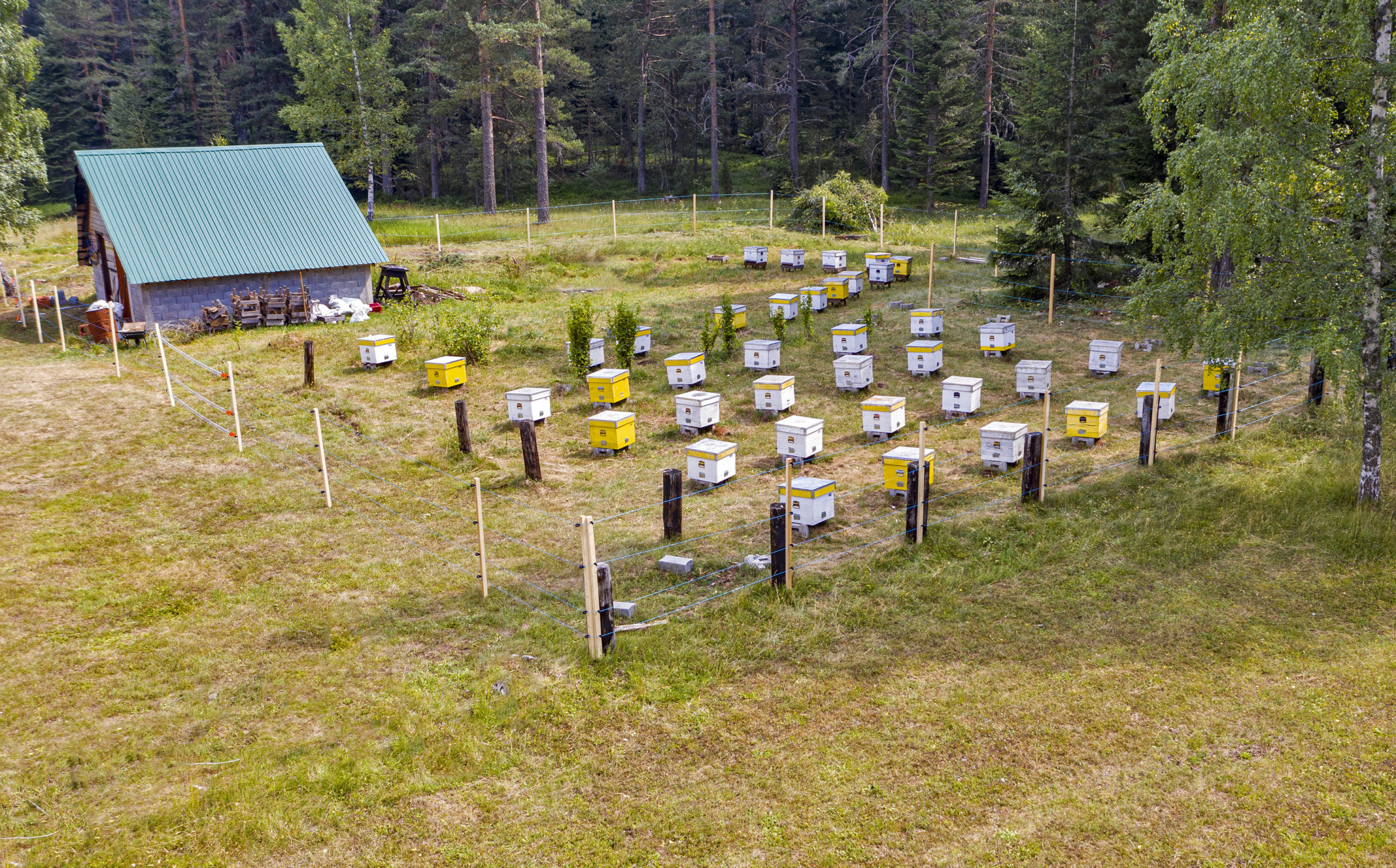 Household with an electrical fence donated by CZIP for the protection of both beehives and bears. Photo: Igor Stojovič